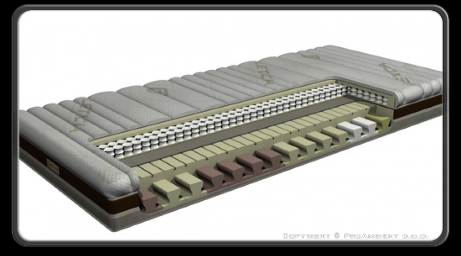 Ležišče Leticia multimodular